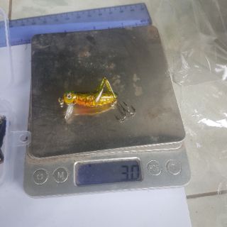 Mồi Côn Trùng, mồi câu lure