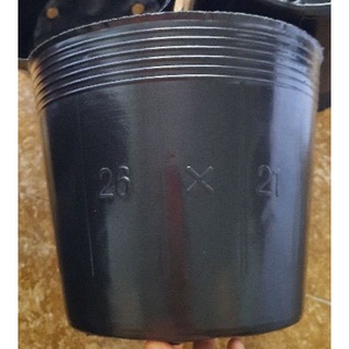 Bầu ươm đen 26x21 1 cái