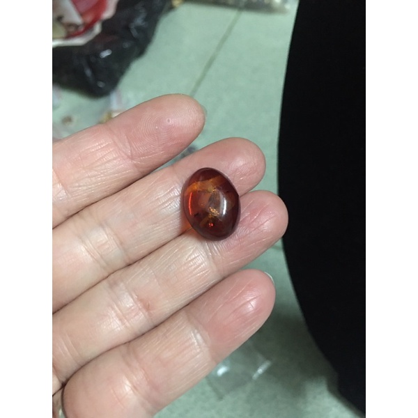 Hai viên hổ phách si tuyển Nhật