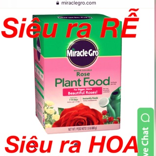 {Hàng nội địa USA🇺🇸} PHÂN BÓN LÁ CAO CẤP cho cây HOA HỒNG MIRACLE GRO