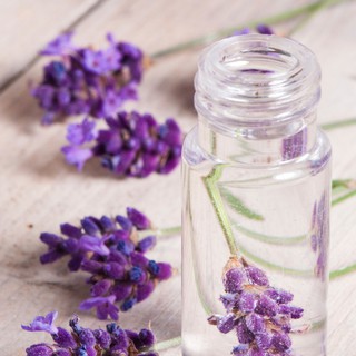 NƯỚC HOA OẢI HƯƠNG (LAVENDER WATER) - 50Ml