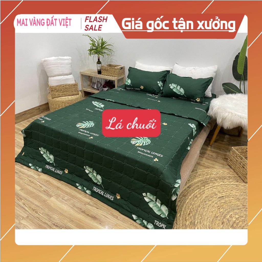 Bộ Ga gối 1mx2m,1m2x2m cotton poly nai vàng