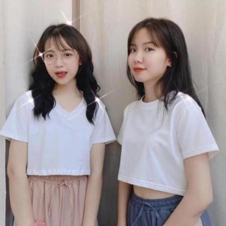 Áo CROPTOP Nữ hở eo cổ tim/cổ tròn trơn
