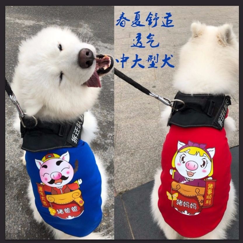 Quần áo cho chó Golden Retriever Mùa hè mỏng vừa cỡ lớn Samoyed Labrador Vest