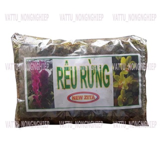 Dớn- rêu rừng trồng hoa lan- Cực chất
