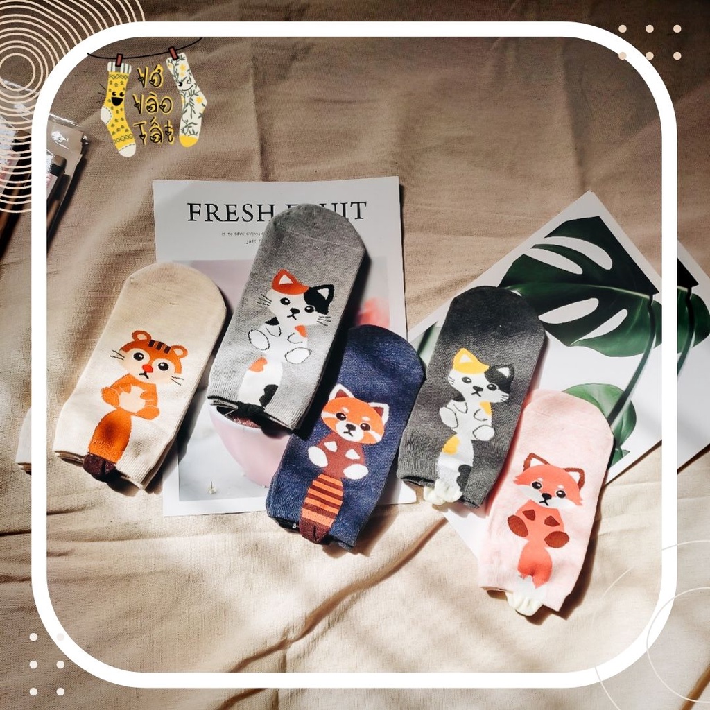 TẤT VỚ NỮ CỔ NGẮN MÈO ĐUÔI DÀI CUTE