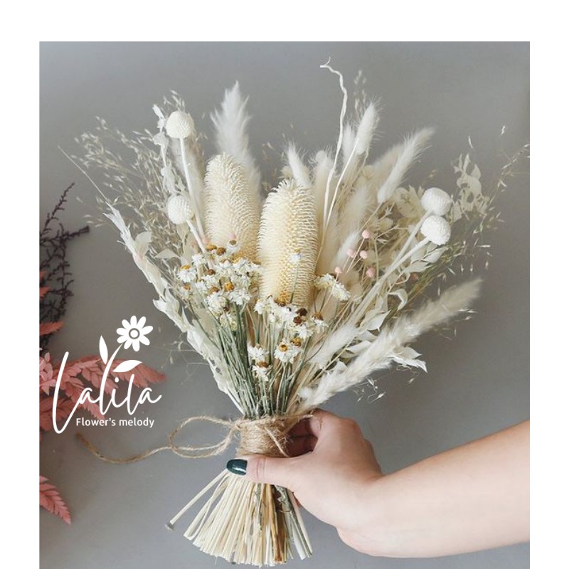 Hoa khô TEASEL trang trí nhà cửa_Gai dứa Decor