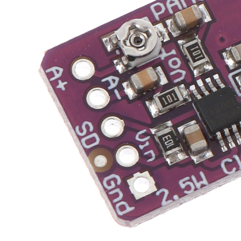 CHANNEL Bảng Mạch Khuếch Đại Âm Thanh Pam8302 2.5w Class D | BigBuy360 - bigbuy360.vn