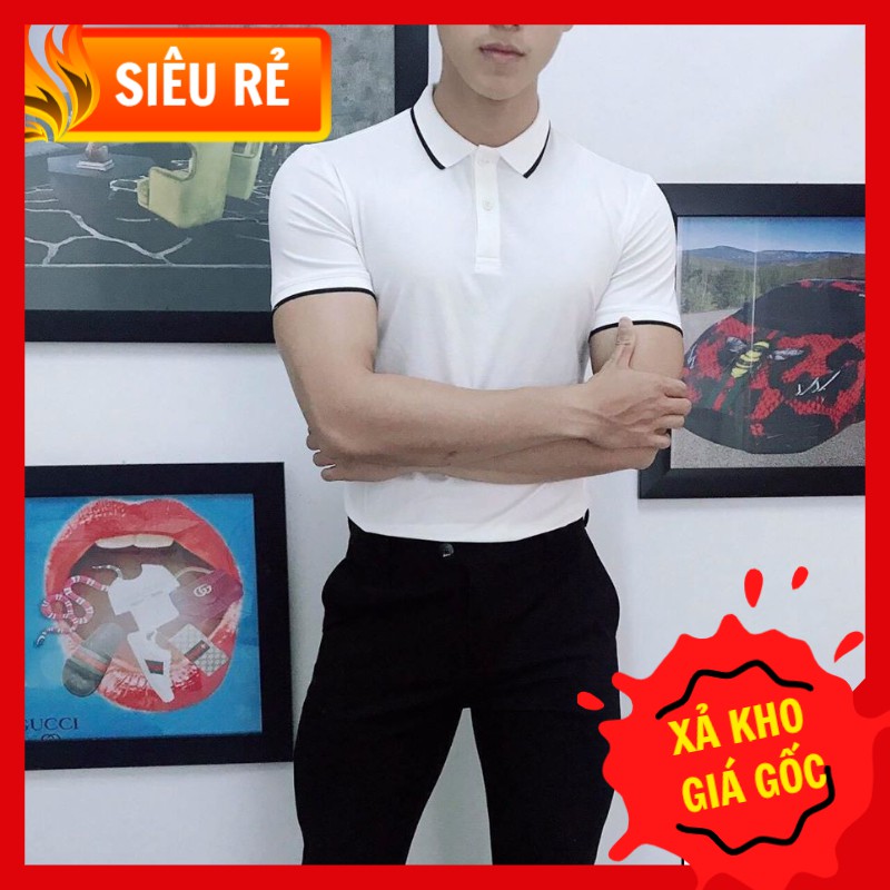 [Xả Kho Giá Sốc] Áo Polo Nam nữ phối viền trẻ trung năng động - Áo thun nam nữ | BigBuy360 - bigbuy360.vn