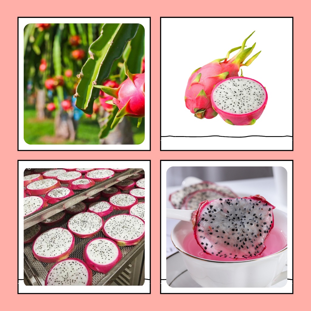 Thanh long thái lát sấy lạnh Robimart gói 100gr - Hàng loại 1 lát đẹp