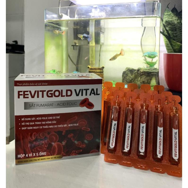Fevitgold Vital bổ sung sắt và acid folic, giảm thiếu máu do thiếu sắt, hỗ trợ quá trình tạo máu
