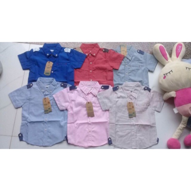 Combo sỉ áo sơ mi