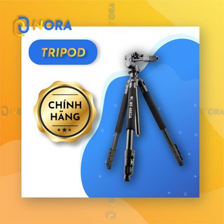 Tripod 3 chân hỗ trợ dựng máy chiếu BeeCube