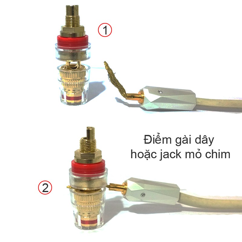 Cọc loa 3 tác dụng Bắp chuối - Càng cua - Mỏ chim cho Loa/Amplifier mạ đồng OCC chất lượng tốt (1 chiếc)