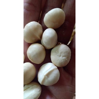nhân mắc ca sấy chín 500g