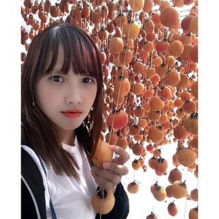 1 ký hồng treo gió đà lạt