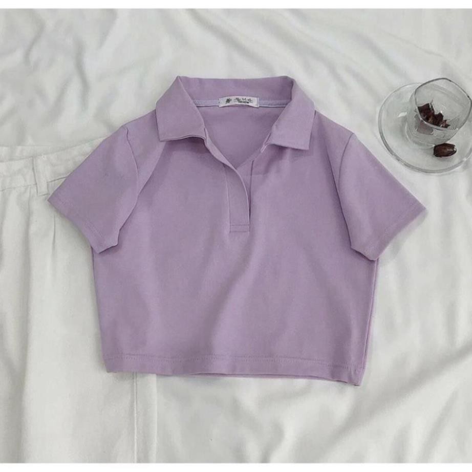 Áo Croptop POLO Nữ