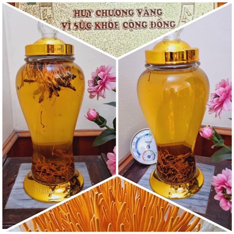 [Lọ 50g] Đông Trùng Hạ Thảo Học Viện Hậu Cần sấy thăng hoa cao cấp
