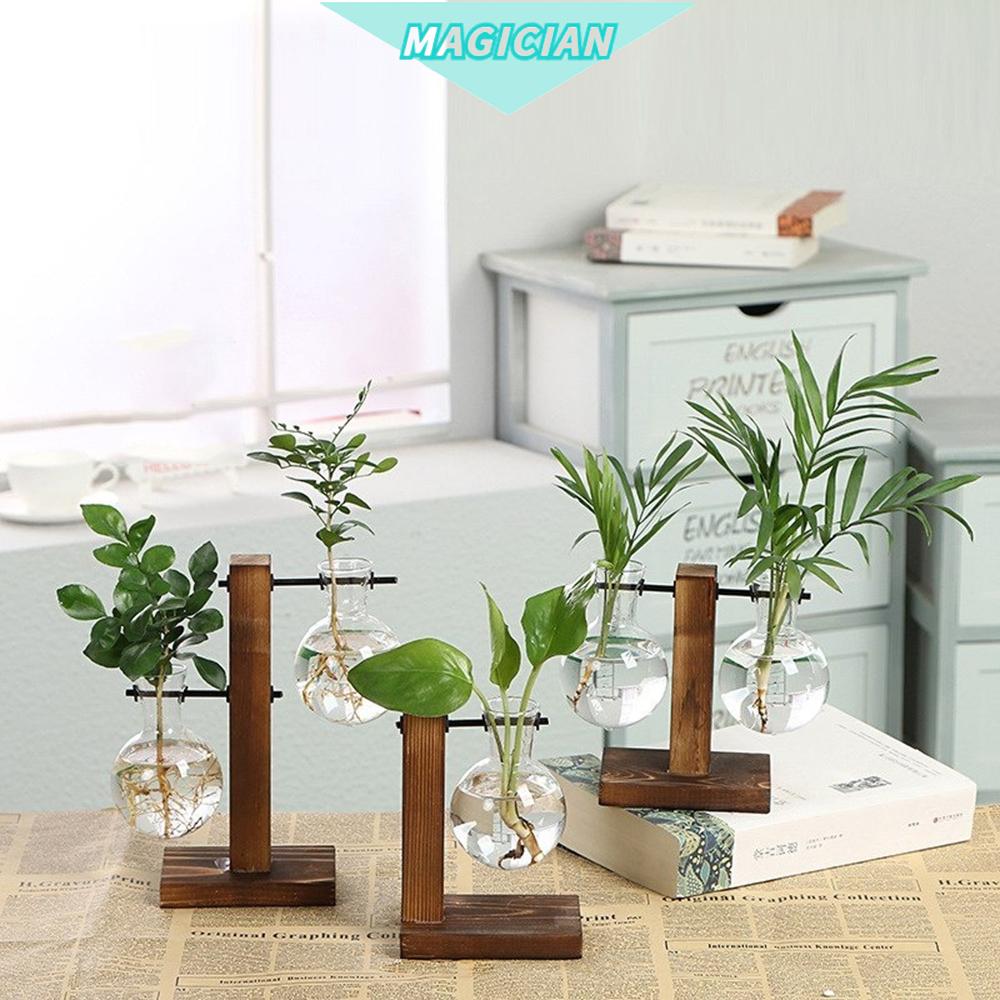 Chậu cây thủy tinh tích hợp khung gỗ phong cách cổ điển dùng trang trí nhà cửa độc đáo