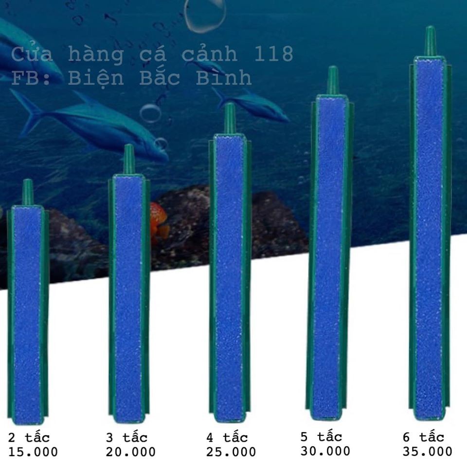 THANH SỦI OXY DÀI