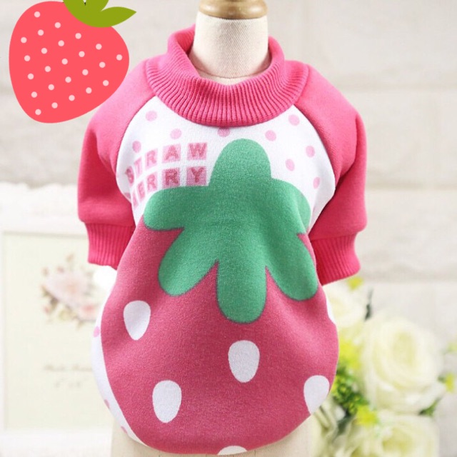[SALE HOT] ÁO NỈ HOẠT HÌNH CHO THÚ CƯNG LOẠI 1