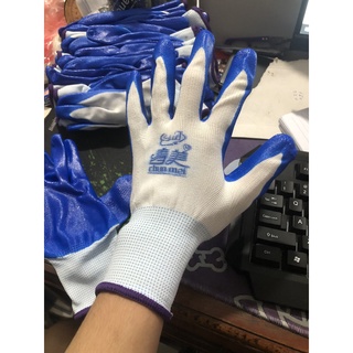 Lố 12 đôi găng tay sơn xanh