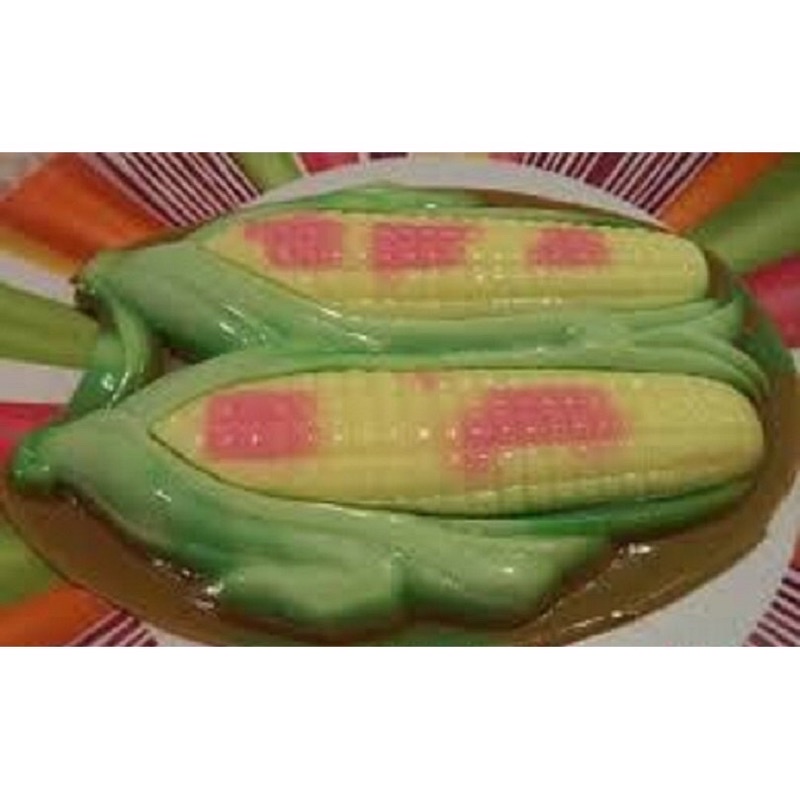 Khuôn 20cm, Hình Trái Bắp Siêu Đẹp