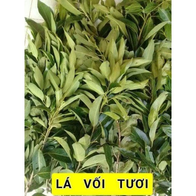 Lá vối nếp tươi 1kg