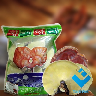 Nấm linh chi vàng 6 năm tuổi Hoàng Hậu Hàn Quốc Túi 1kg [ Nấm Linh Chi _ Quà Tặng Cao Cấp ]