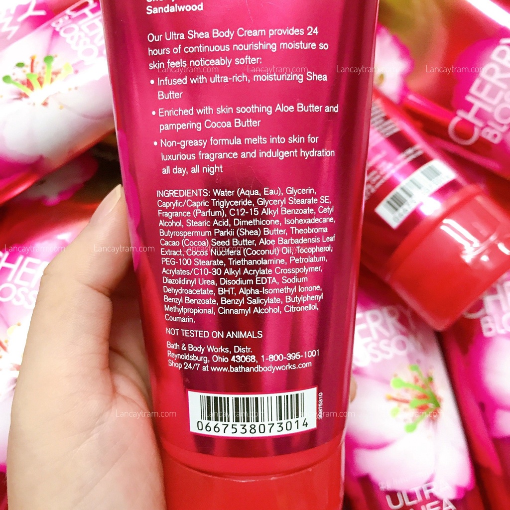 Sữa Dưỡng Thể Bath Body Works Japanese Cherry Blossom Body Lotion 226g | BigBuy360 - bigbuy360.vn