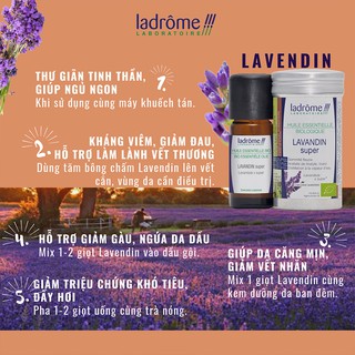 Tinh Dầu Organic Lavendin Super