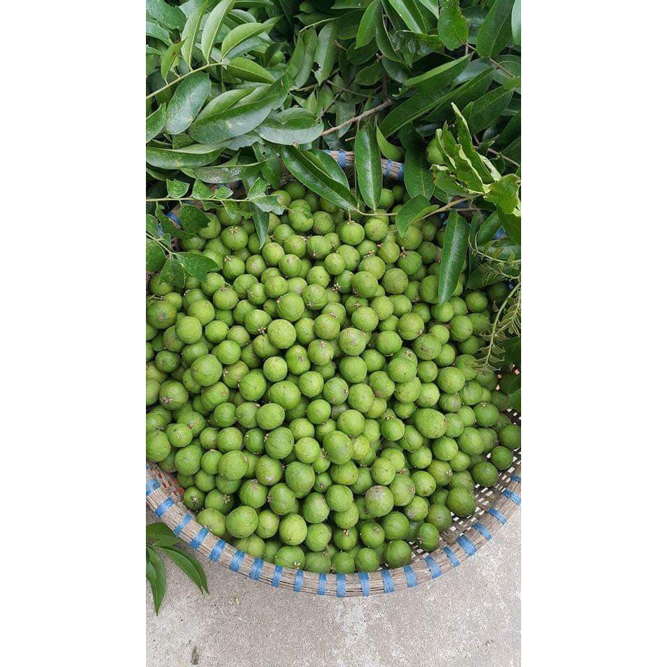 2kg Sấu ngâm đường đặc biệt . 100% sấu Hà Nội chọn lọc, 100% đường tinh khiết- ĐẶC SẢN HÀ NỘI