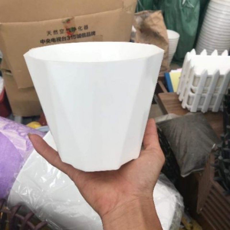 chậu nhựa kim cương trắng trồng cây kích thước 15x13 cm