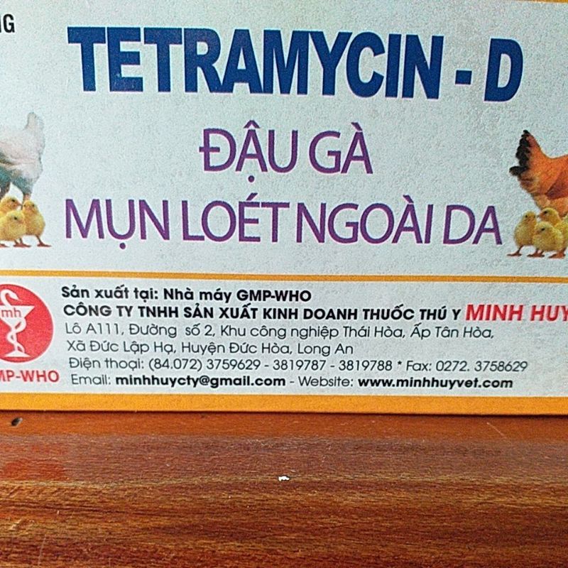 Đậu gà, gà mọc mụn ở đầu, gà đá, thú cưng chim, gà chọi, gia cầm