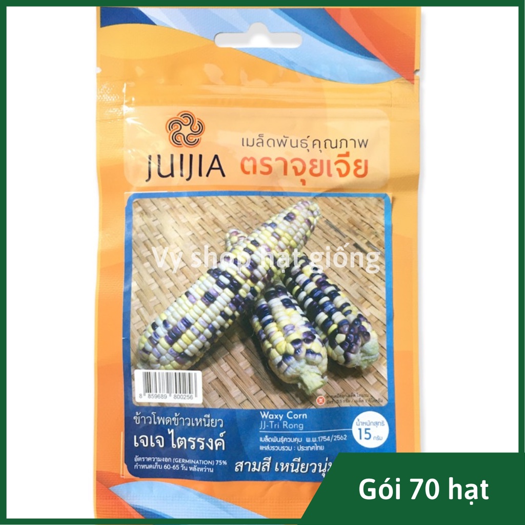Hạt giống ngô nếp (bắp nếp) mix màu Thái Lan gói 70 hạt