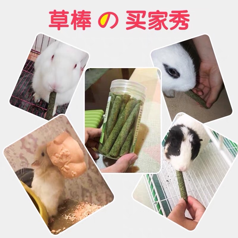 Mài răng cà rốt. Mài răng cỏ lúa mạch. Mài răng cho hamster, thỏ, bọ