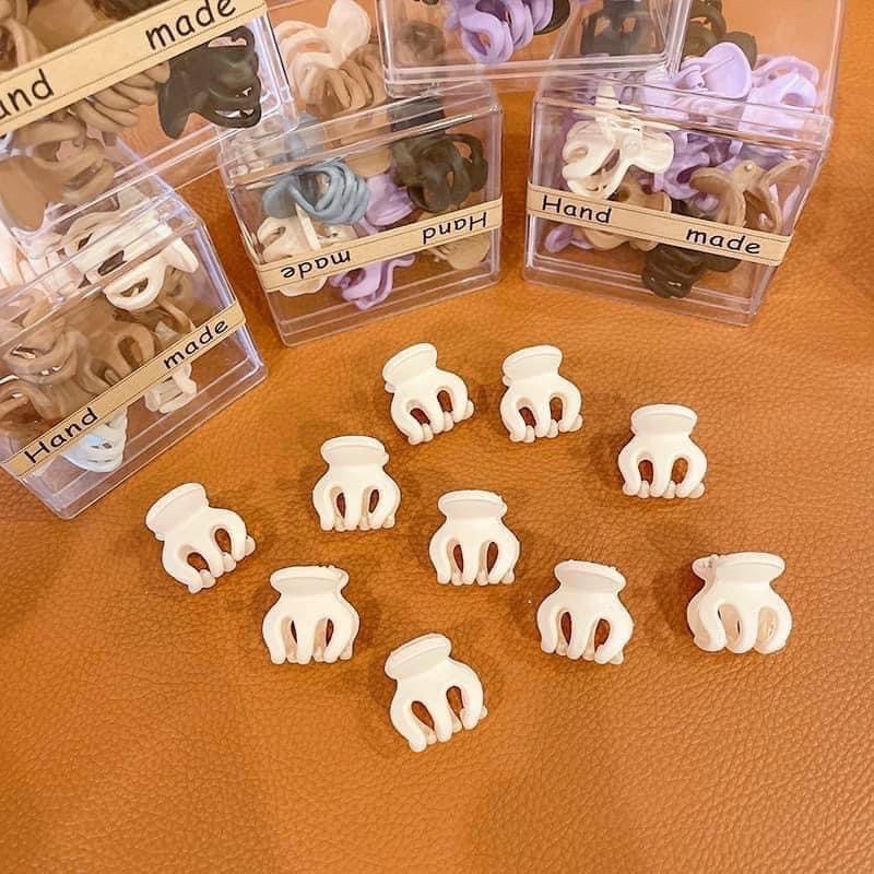 HỘP 10 CHIẾC CẶP CÀNG CUA ĐUÔI NGỰA MINI