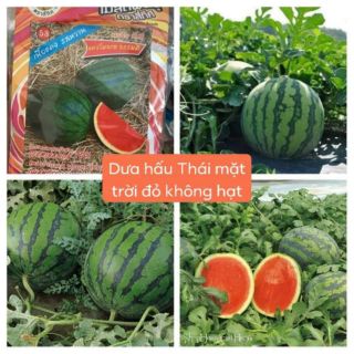 DƯA HẤU THÁI MẶT TRỜI ĐỎ