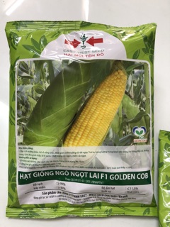 Hạt giống bắp Mỹ (bắp ngọt) - 500gr
