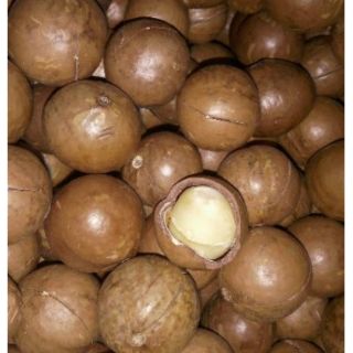 1kg macca Úc nứt vỏ