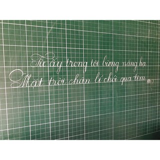 🌼 Phấn trắng Đức Thanh viên tròn nhỏ