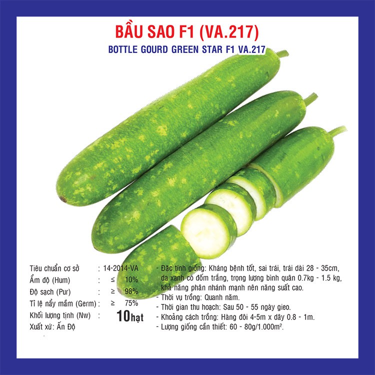 Hạt giống Bầu Sao F1 (VA.217) 10 hạt