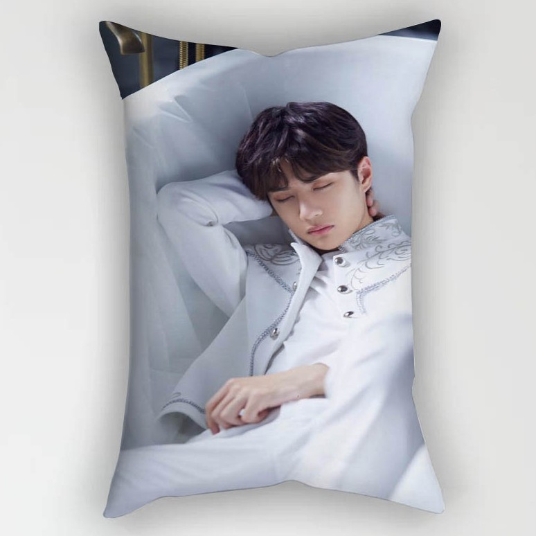 Áo gối sofa in hình WangYibo 50*30cm | BigBuy360 - bigbuy360.vn