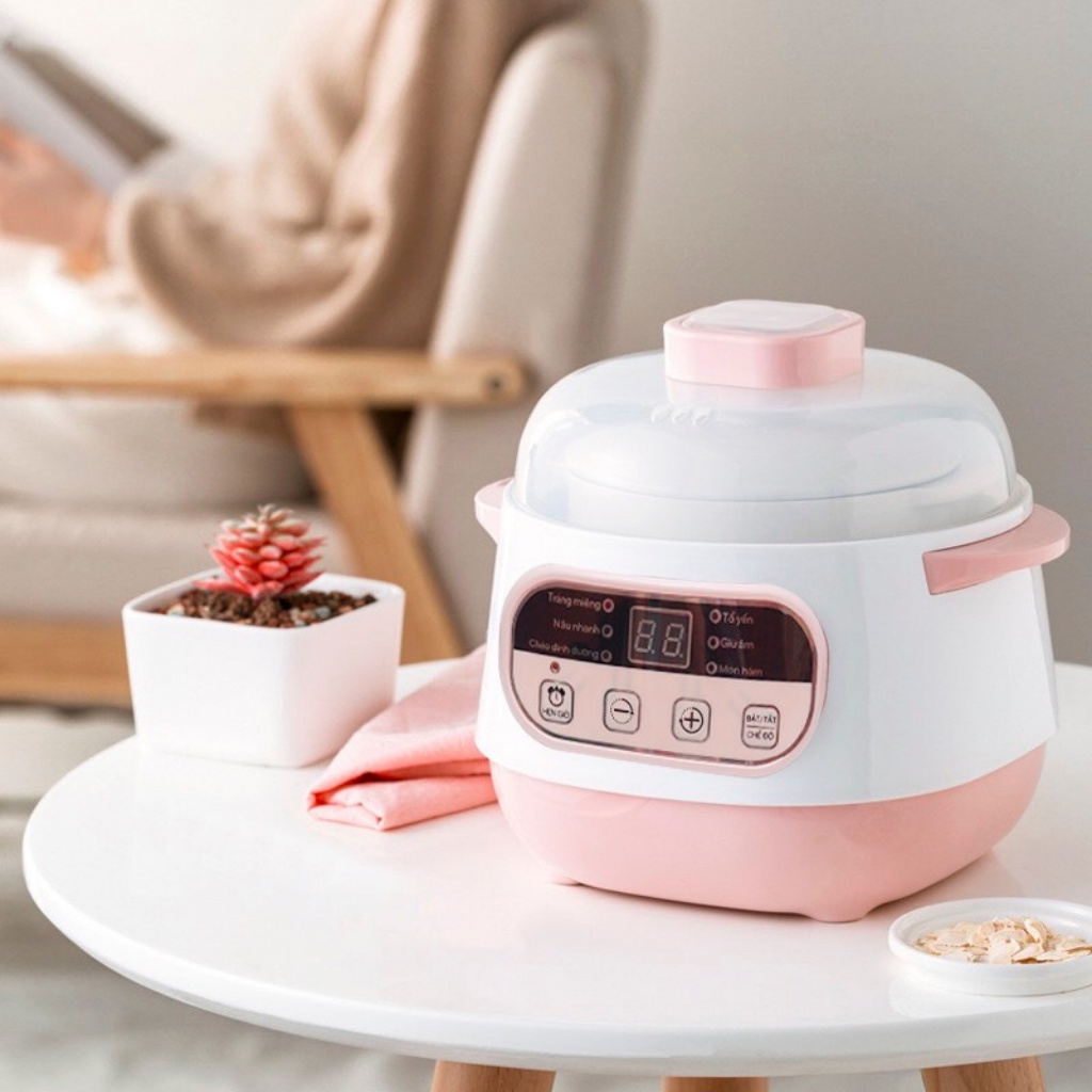 Nồi nấu cháo chậm, nồi hầm cách thủy cho bé BENNIX BN - 100A dùng để ninh, hấp, chưng yến, bảo hành 1 năm