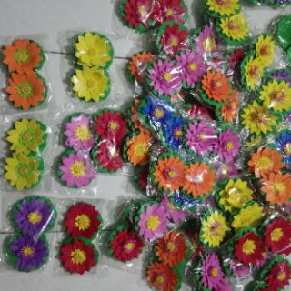 Hoa múa mầm non, 12k/cặp