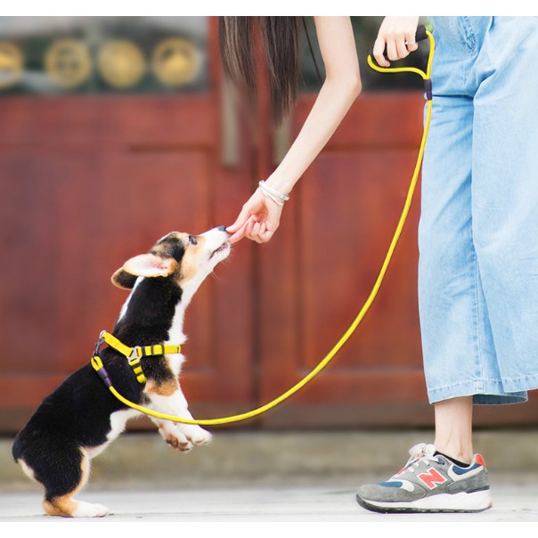 Bộ dây dắt và yếm dù xoắn cho chó mèo