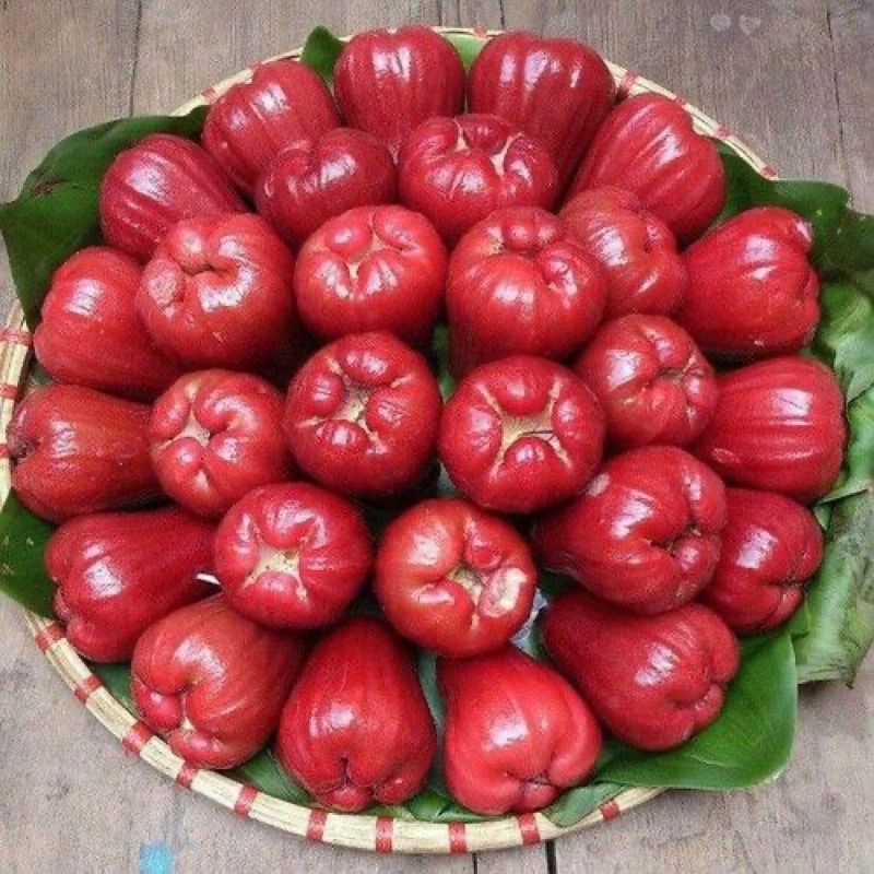 Mận An Phước Bao Ngon Tiền Giang