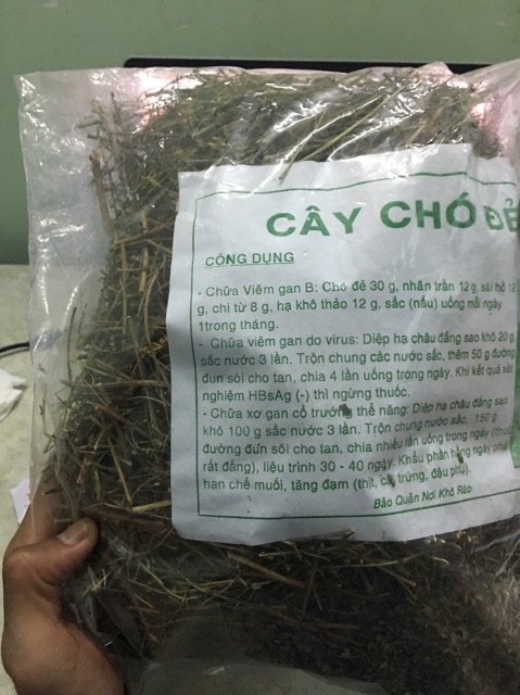 CÂY CHÓ ĐẺ RĂNG CƯA ( DIỆP HẠ CHÂU KHÔ) 1KG