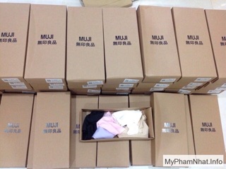 COMBO quần sịp muji