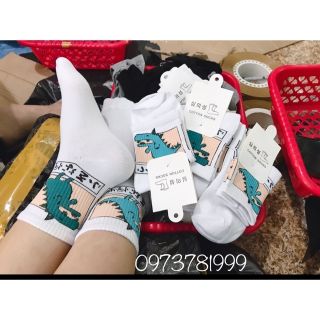 Tất khủng long hót hít